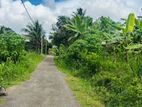 🏡 කඩුවෙල – රනාලින් වටිනා නේවාසික ඉඩමක් ලක්ෂ 42කට / KR 13749