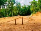 කඩවත ආසන්නව සුපිරි ඉඩමක්