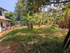 කඩවත ඇල්දෙණියෙන් පර්චසය ඉඩමක්