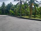 කඩවත දෙල්ගොඩ 210 බස් පාරෙන් බිම් කොටස්