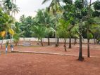කඩවත ගෝණහේන පාරට ළගින් බිම් කොටස්