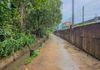 කඩවත Highway පිවිසුම පේන දුරින් වටිනා ඉඩමක් - Widok 3