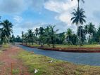 කඩවත - කිරිල්ලවල / Highway Entance එකට විනාඩි 5න් 10න් Land for Sale