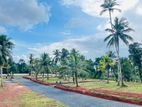 කඩවත - කිරිල්ලවල / Highway Entrance එකට විනාඩි 5න් 10න් බිම් කොටස්