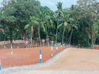 කඩවත නගරයෙන් වටිනා ඉඩමක් විකිනීමට
