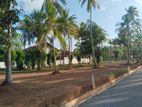 කඩවත නුවර-කොළඹ බස්පාරට 2kmයි බිම්කොටස් විකිණීමට