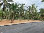 කඩවත වෑබඩ මහමෙවුනා අසපුව පාරෙන් පර් 575000/= සිට පහසු ගෙවීමට