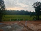 කඩවත වෑබඩ පාරෙන් ඉඩමක්