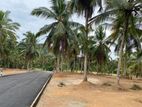 කඩවත වෑබඩ සුපිරි" තැනක් පර් 565000/= සිට පහසු ගෙවීමට