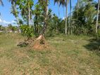 කඩවත වෑබඩින් වටිනා බිම් කොටසක් / DU 11584
