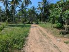 කඩවත වෑබඩින් වටිනා බිම් කොටසක්