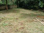 කඩවත - වැලිපිල්ලෑවෙන් ඉඩමක්