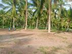 කඩවතින් ඉඩමක්