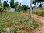 කඩවතින් වටිනා ඉඩමක්