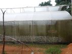 KEGALLE : 168P ESTATE WITH GREEN HOUSE FOR SALE IN KOTUWA