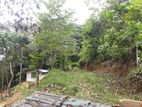 ￭ Kegalle Land For Sale (NK11060)