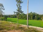 kekanadura land