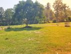 Kekanadura Land Sale