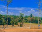 Kekanadura Road Land