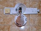 Kelani Ceiling Fan