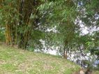 Kelani Lake Facing Land Sale
