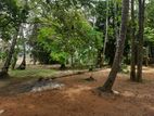 Kelani River Front Land for Sale Ds4425