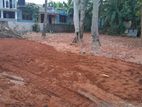 Kelaniya : 16.5 Perches Commercial Land for rent