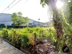 Kelaniya : 215 perches Bare Land for Sale at Pattiya Junction