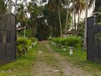 KELANIYA : 229 Perches Land With Two Warehouses & House For SALE
