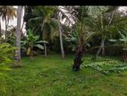 Kelaniya 229 Perches of Land with 02 Warehouses & A House for Sale