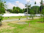 Kelaniya 8P Luxury Land for sale