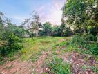 KELANIYA EXCELLENT RESIDENTIAL / INVESTMENT LAND FOR SALE