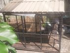 Steel Dog Cage