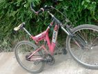 Kenton 24 Bicycle