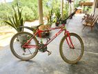 Kenton Bicycle 2020