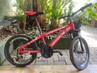 Kenton Flash 20” MTB