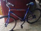 Kenton Bicycle