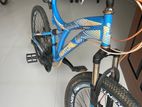 Kenton Matrix Mountain Bike