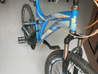 Kenton Matrix Mountain Bike