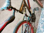 Kenton Mountain Bicycle