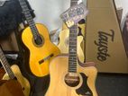 Kepma USA Acoustic Guitar