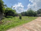 Kesbawa Piliyandala Valuable Residential Land for Sale
