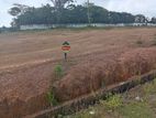 Kesbewa - Kindelpitiya Land For sale
