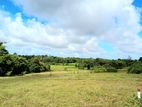 Kesbewa Land for Sale