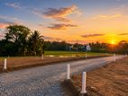 Kesbewa - Polgasowita Paddy Field Facing Land Plots For Sale
