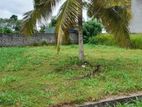 Kesbewa - Residential Land for sale