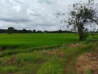 කහටගස්දිගිලියෙන් කාමර 3ක නිවස සමඟ කුඹුරු ඉඩම විකිණීමට