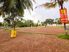 කහතුඩුව පොල්ගස්ඕවිටින් අගනා බිම් කොටස් කිහිපයක් විකිණීමට