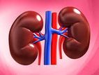 Kidney Treatment