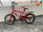 DSI Bicycle